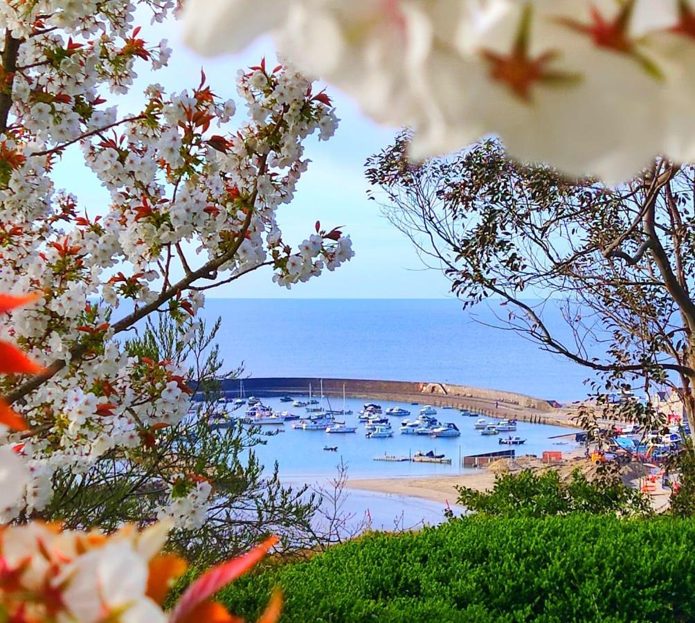 Seabreeze Apartment Lyme Regis Luaran gambar
