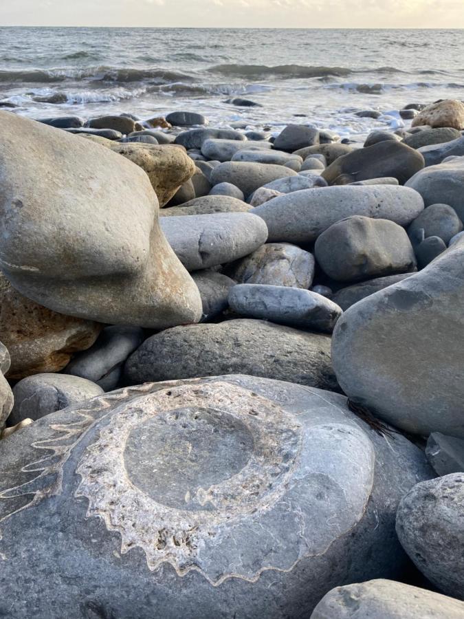 Seabreeze Apartment Lyme Regis Luaran gambar